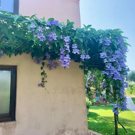 Casa Ischia Ferienhaus